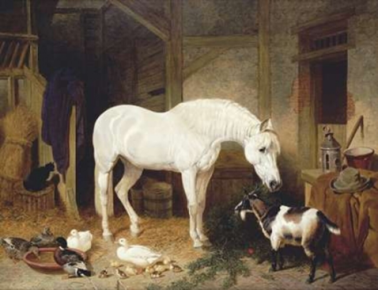 Stable Companions Poster Print by John Frederick Herring - Item # VARPDX264987